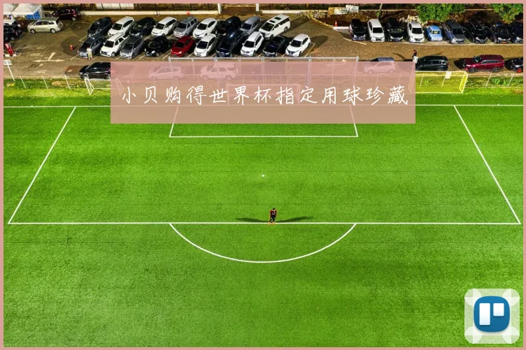 小贝购得世界杯指定用球珍藏