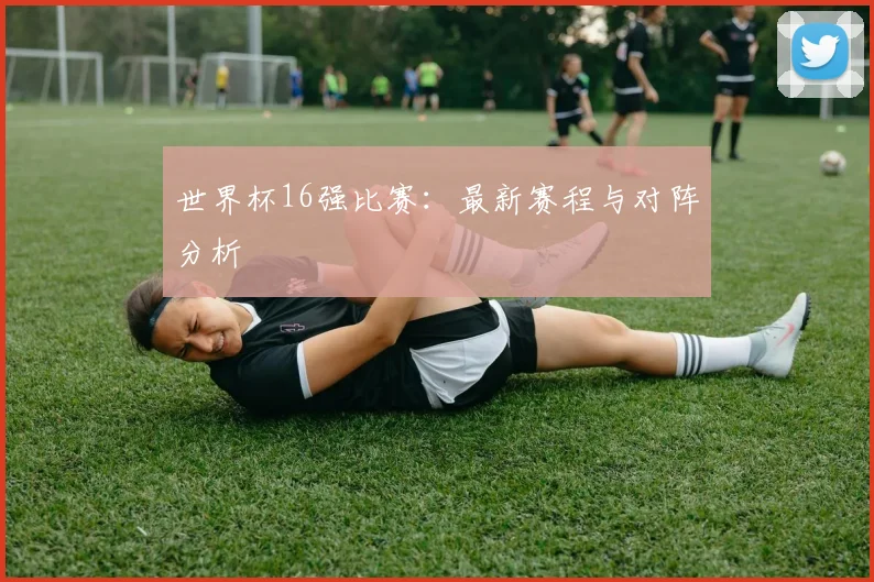 世界杯16强比赛：最新赛程与对阵分析